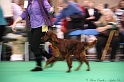 Crufts2011 180